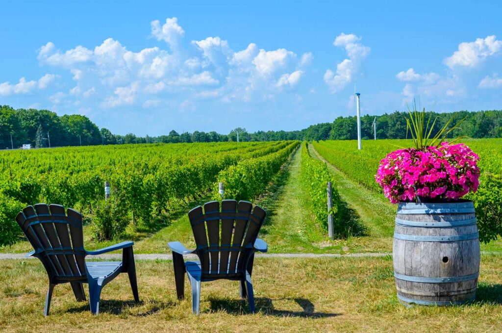 Vignoble-Riviere-du-Chene-oka-winery