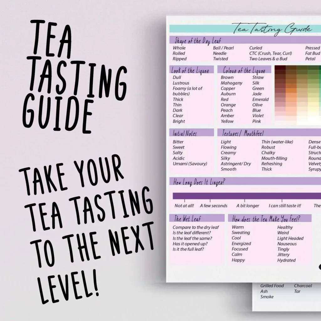 tea-tasting-guide