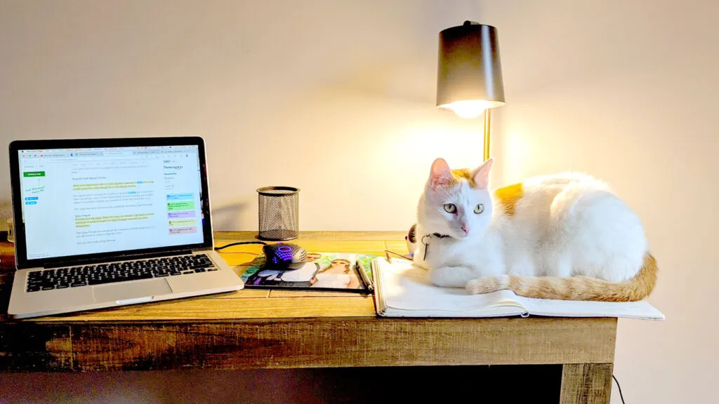 travel and work remote essentials when staying close to home. Photographed a desk with a laptop open to a note taking app,  a mouse on a mousepad, a pencil holder, a lap giving a warm yellow light, and of course, a white and orange cat sitting on an open agenda