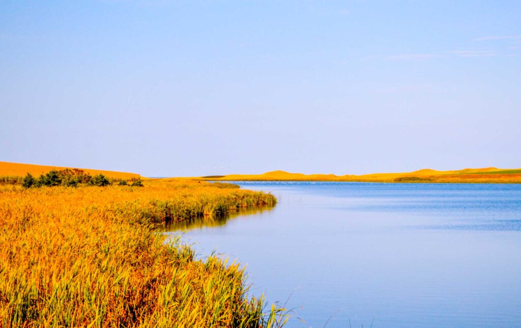 central coastal drive prince edward island. An iconic view of Prince Edward Island of the marshlands on the island. Blue water meets yellowed- hay looking grass and in the distance some hills appears. 