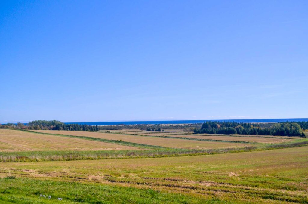 driving through prince edward island the view of the farmland on the side of the road. The green grass goes all the water to the blue water of the ocean.
