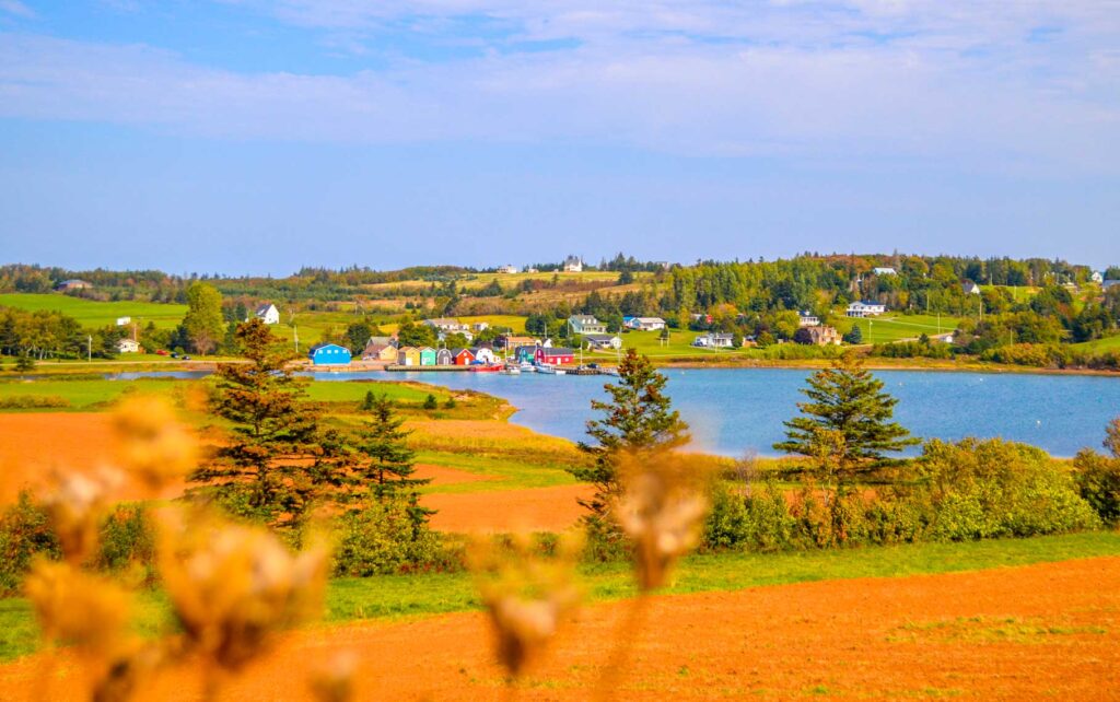 french river harbour viewpoint pei. Some wheat is blurred in the front of the frame, the color is a golden yellow, almost matcha the red dirt  behind it. There's a mix of green grass and red dirt leading down into the French River. Just beyond the river is a line of harbour home, each a different colour, blue, yellow, green, grey, red, and white, all in a line with a dock in front of them. 
Behind the homes, the land starts to raise up turning into hills of green grass and trees before meeting the sky. 
