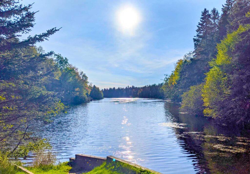 knox dam prince edward island the sun is shimmering on the river in between trees leading you all the way down