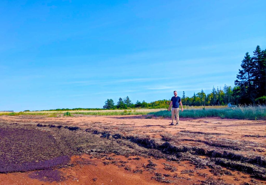 looking-for-lighthouses-prince-edward-island