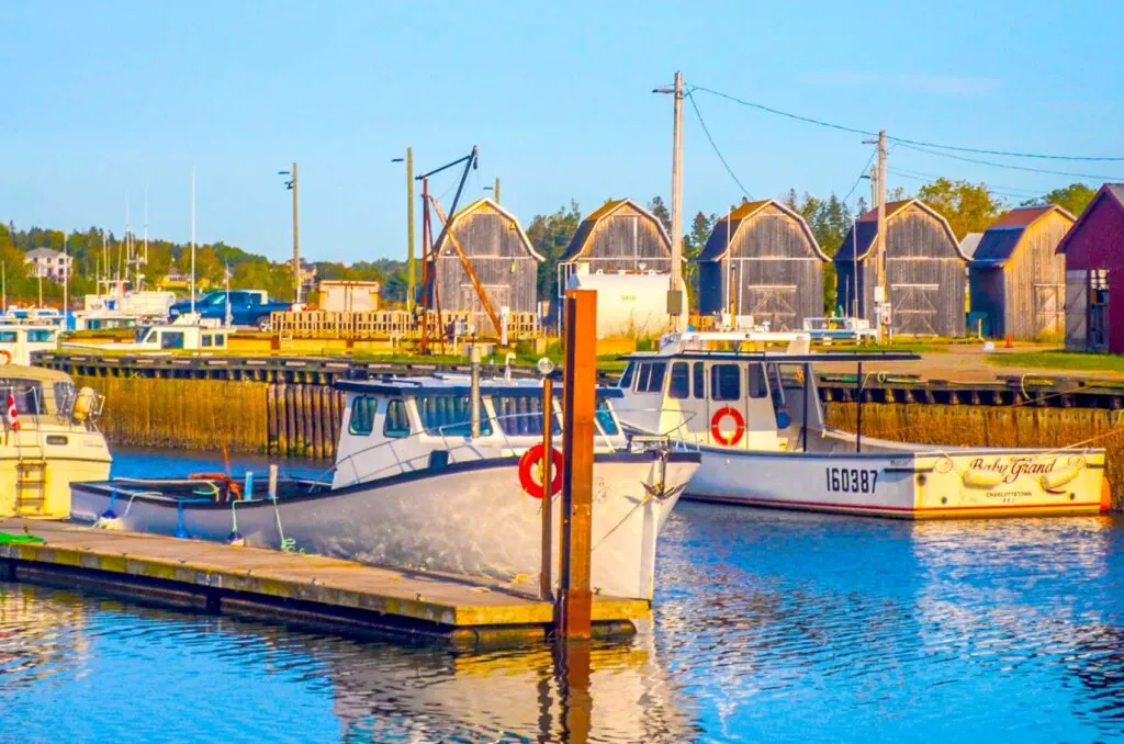 montague prince edward island harbour. There are two boats docked on the water, with docks leading to them. Behind, on land are 5 identical wooden buildings. It's golden hour as the hue to the image as a somewhat golden hue