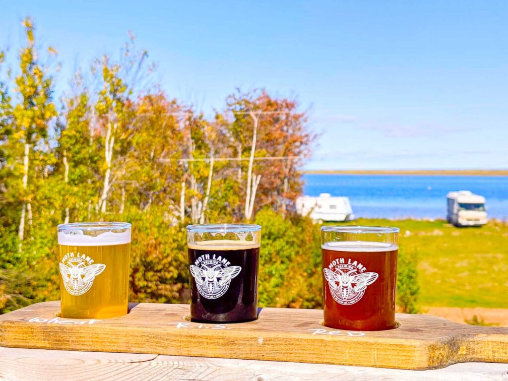 three beer glasses inside a carved out cutting board to hold them in place. Each glass has the Moth Lane logo on it ( a giant moth). The first beer is yellow, the middle is quite dark like Guinness, and the last one is red. 

Behind the glasses are some trees before you see water on the horizon. 