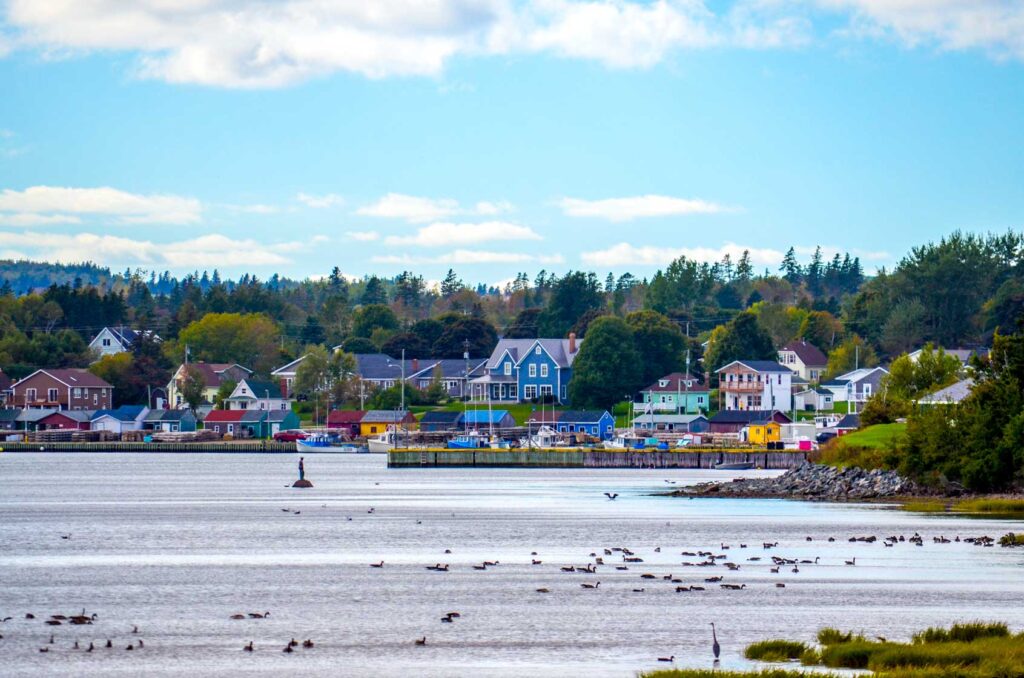 north rustico harbour village across the water coming in to the shore. There are birds spotted throughout the water, but what really stands out is a man like figure in the middle. This is the fisherman statue of North Rustico. 

Behind the water, is the North Rustico harbour lining the shore line with small harbour houses each with their own colour palette, from blue, to yellow, and red, and green. 

Behind the smaller harbour houses of the fishing village are the larger homes  and finally the trees leading your eyes to the semi cloudy blue sky. 