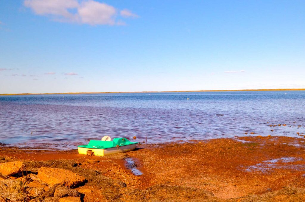 paddle-boat-pei