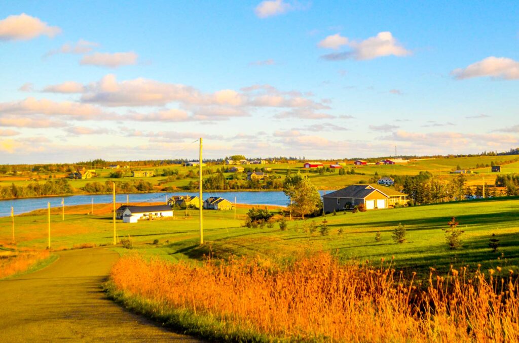 incredible rolling hills on the coastal drive on prince edward-island at golde hour. The road is a a shade of yellow instead of grey. It leads you down into the valley, towards a river cutting the picture in half. The green grass continues on the other side, and finally, the land meets the sky in the distance. The sky is yellow near the land, but becomes more blue the higher up. 