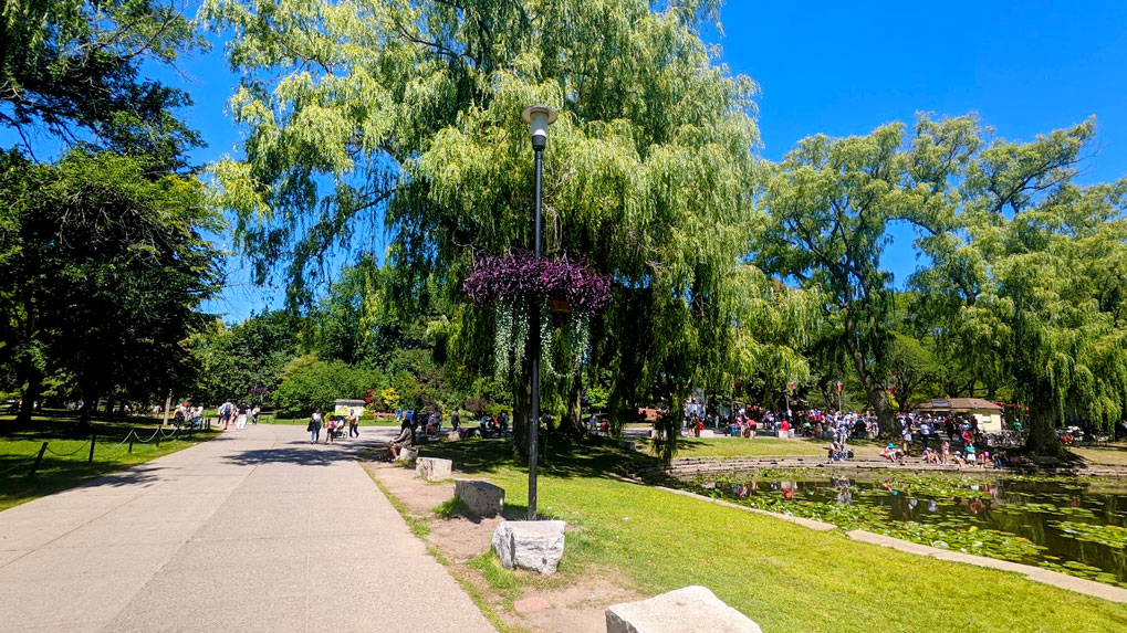 a cement walking path leading your eye into the picture of centre island on toronto island. Green grass, tall trees, a pond, and people in the distance all enjoying the sunny weather