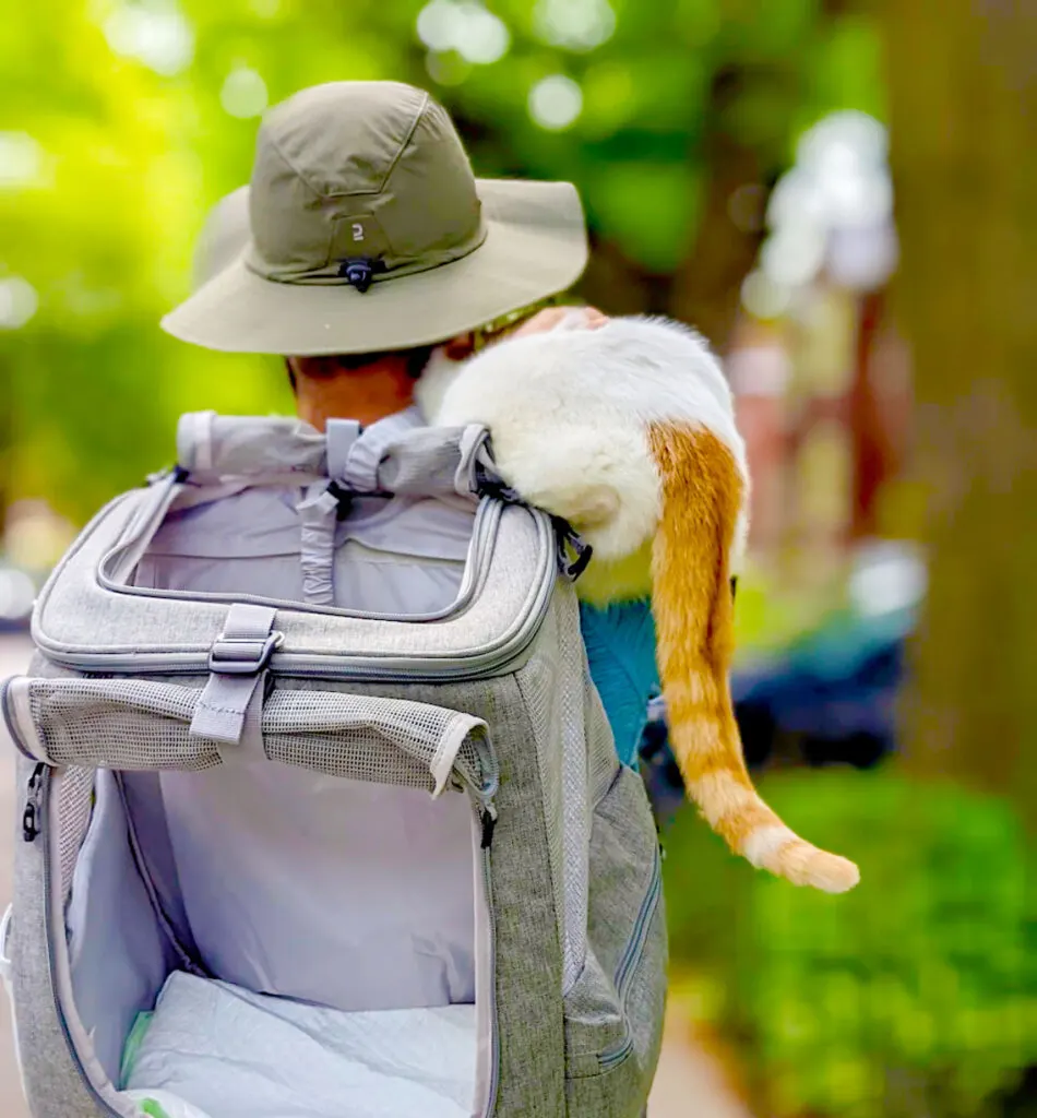 cat-on-shoulders-escape-the-navigator-cat-backpack