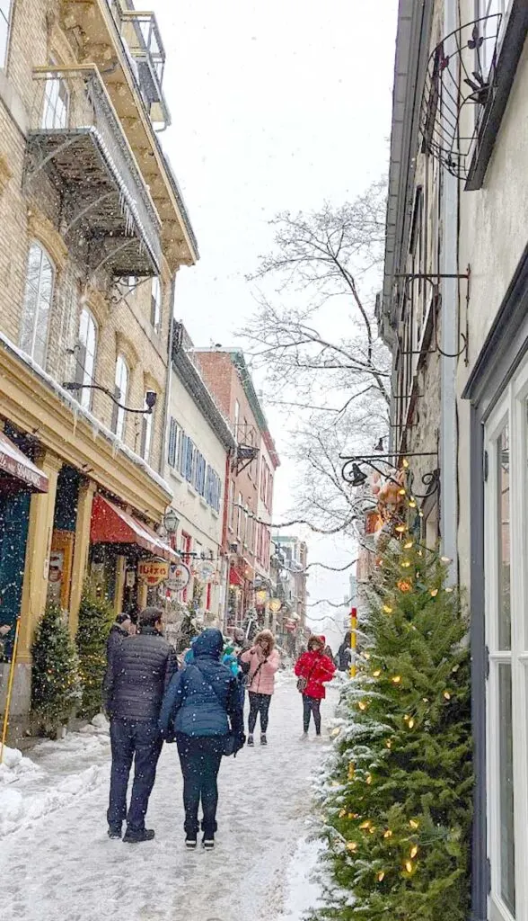 a winter scene on petit champlain in Quebec city.  It's a narrow street, that's pedestrian only. Two people stand for a photo in the middle of the path. There's only enough room for one person to pass on either side of them. You can also tell that it's narrow because you can see the buildings on either side of the street. Although the buildings on the left are mostly covered by an evergreen tree with christmas lights in it. The sky is completely white as the snow falls on the scene below.