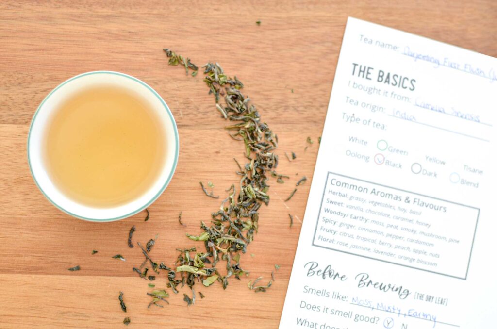 darjeeling-first-flush-tea-tasting-sheet