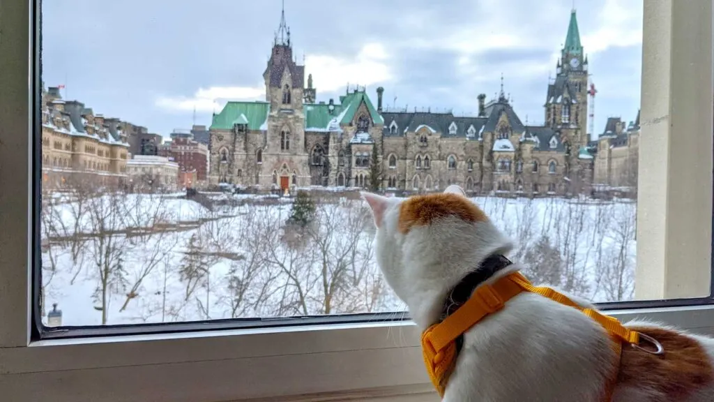 fairmont-chateau-laurier-ottawa-pet-friendly-parliament-view
