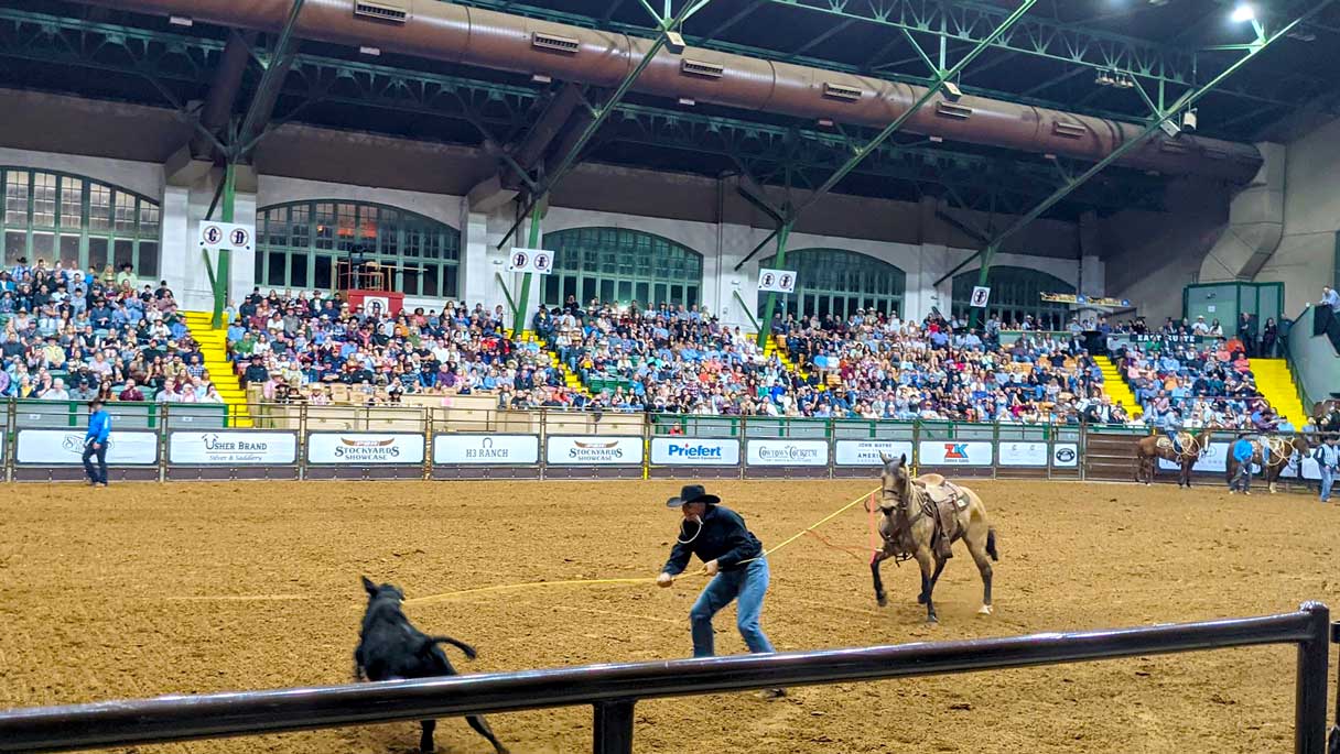 Complete First Timers Guide To The Fort Worth Rodeo Texas