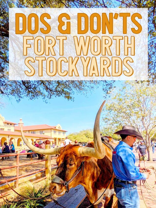 What To Do (&What NOT To Do) In The Fort Worth Stockyards Texas