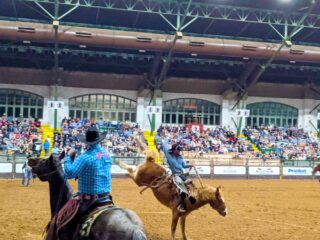 horse-bucking-texas-rodeo