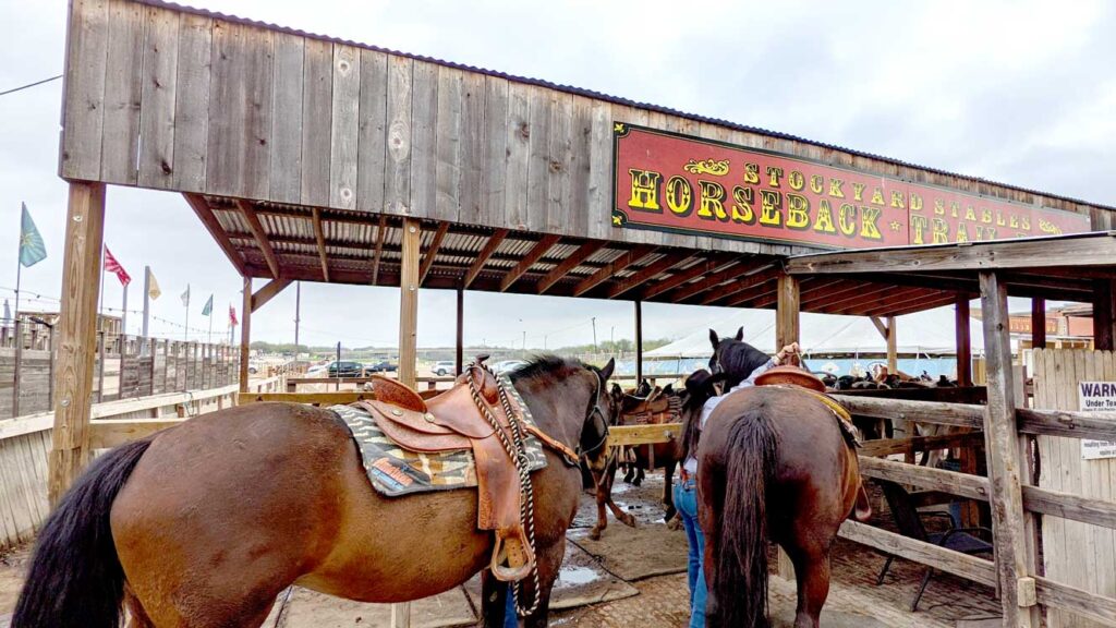 horseback-riding-trail-rides-at-the-stockyards