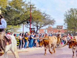 things-to-do-in-fort-worth-stockyards-featured