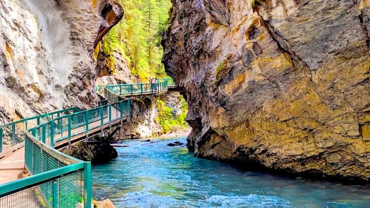 johnston-canyon_featured_image