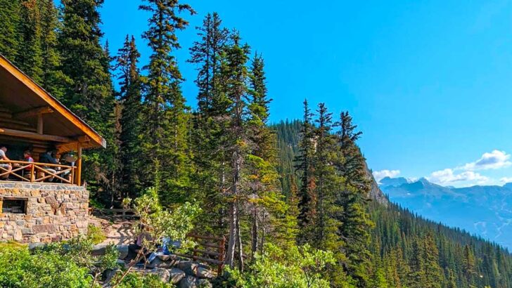 lake-agnes-teahouse-hike-lake-louise-featured-image