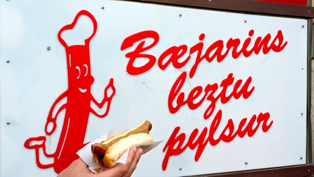 icelandic-hot-dog-not-worth-the-hype