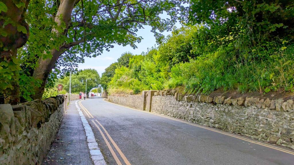 one-lane-two-way-road-Ireland-driving-howth
