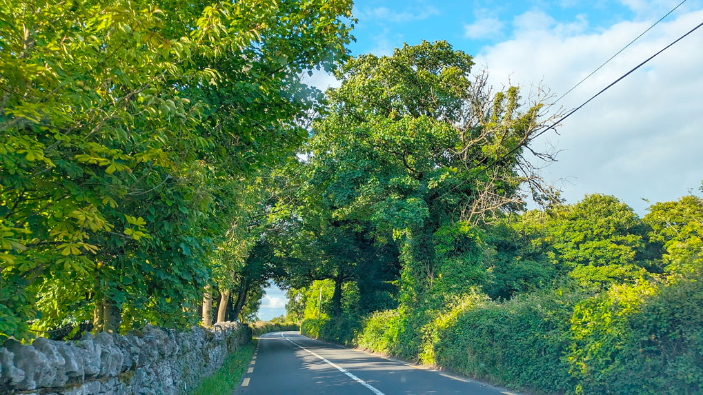 covered-and-uncovered-stone-walls-on-the-side-of-the-road-ireland