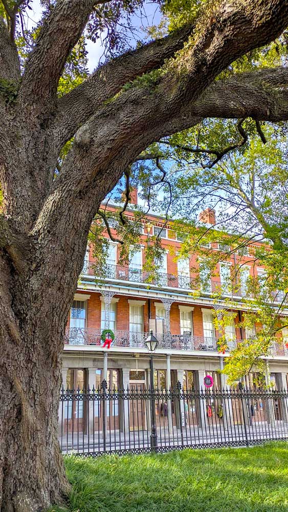 an tree arches from the left side of the frame, shielding the top third of the frame  going all the way to the right side. The leaves cover the some of the right side, You can see through the middle, and the leaves a classic french quarter building in new Orleans. It's three stories, but tall floors. The building is red brick with cast iron railings for the balconies on the upper two floors. The bottom floor has doors leading to shop. 