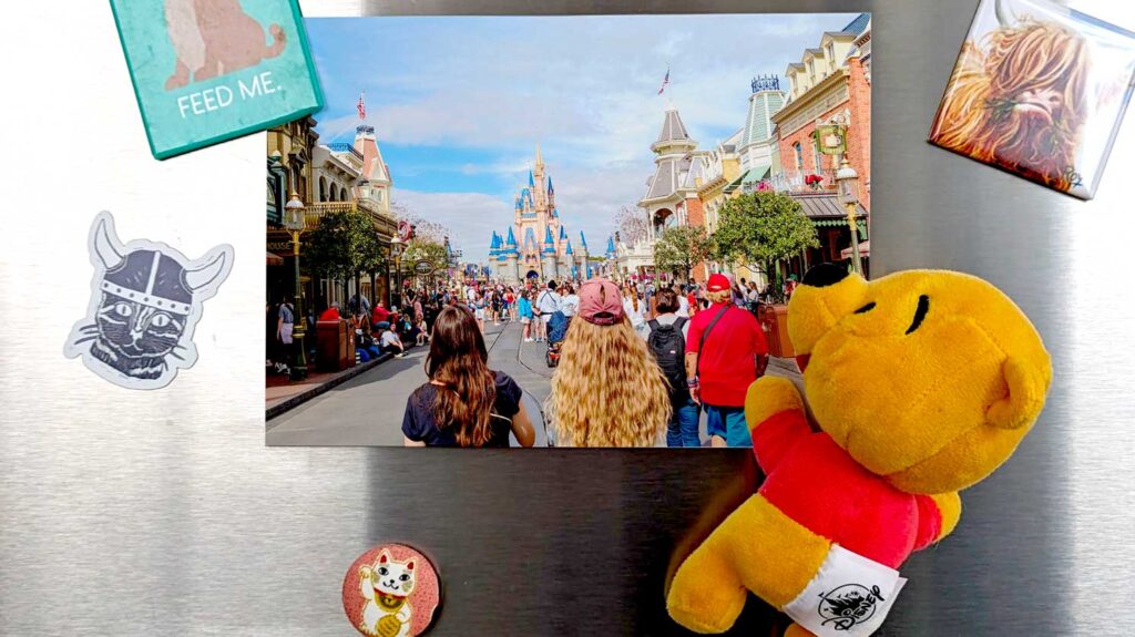 closeup-of-a-fridge-with-magnets-holding-up-a-picture-in-disney-one-of-them-is-shoulder-plus-winnie-the-pooh