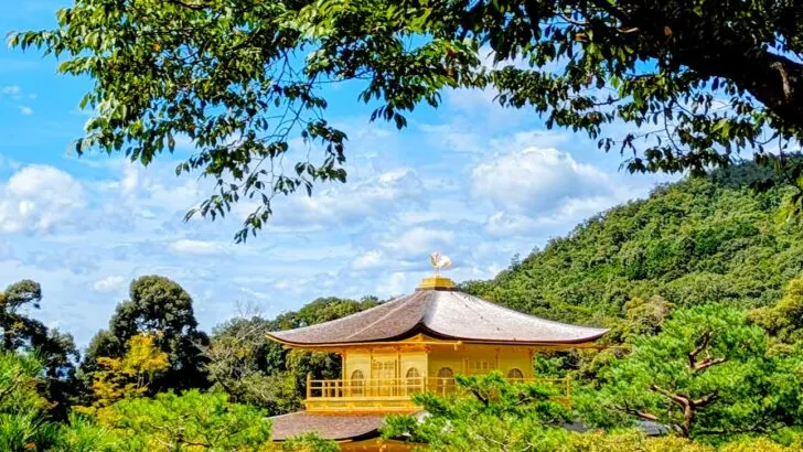 two week itinerary in japan featured image of the golden pavilion in the trees on a bright and sunny day.
