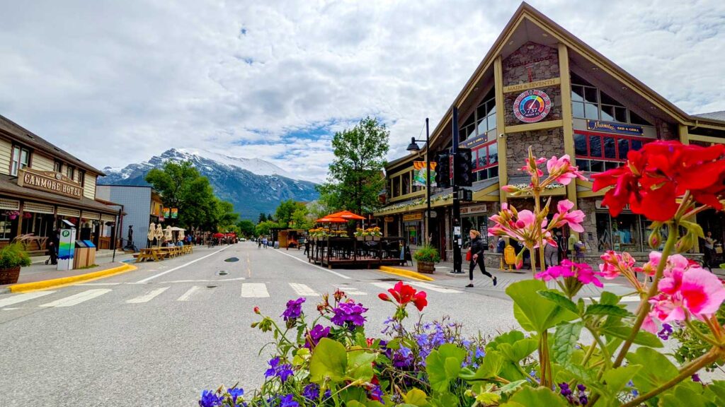 beautiful 8th street in canmore alberta. The photo is framed by bright purple and pink flowers. BEhind them is a crosswalk connecting both sides of the road. On one side is a large, cabin like building. On the other is the canmore hotel, a much smaller, simple, brown building