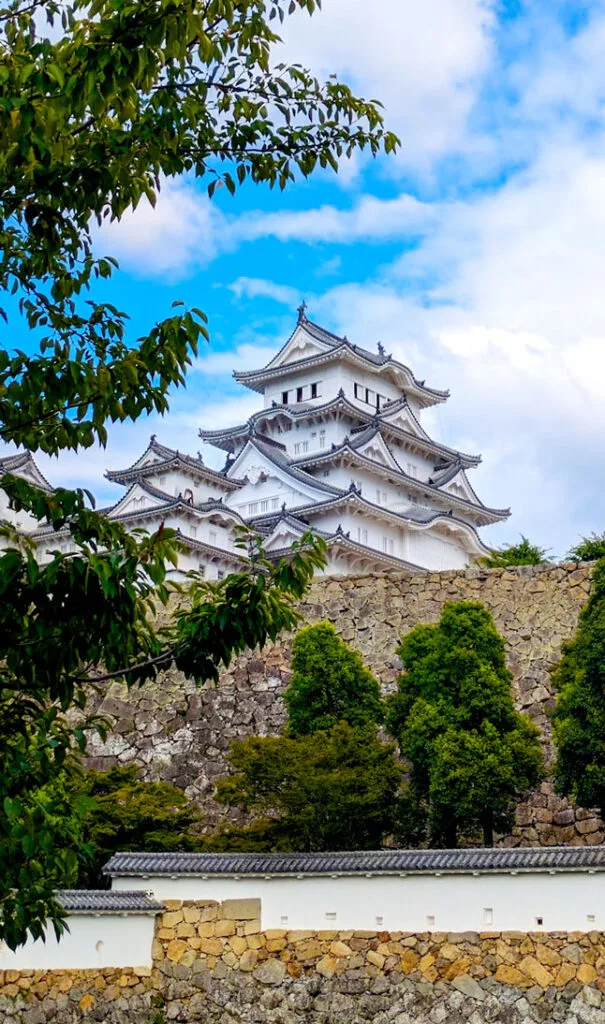 himeji castle in japan sneaking through the trees. It looks like it's towering above the world, it's the only building meeting the bright blue sky. There are stone walls leading up to the castle. Dark green bushes and trees frame the castle below and on the left, with a few branches towering over the castle on the top of the photo