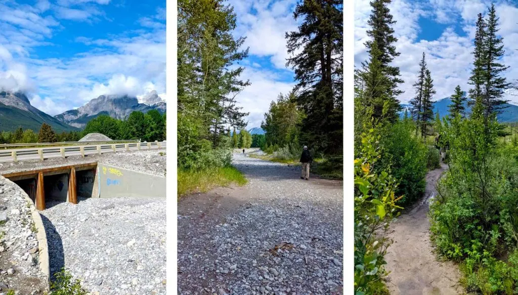 three vertical photos showing the different parts of the path that lead to the three sisters viewpoints. 
