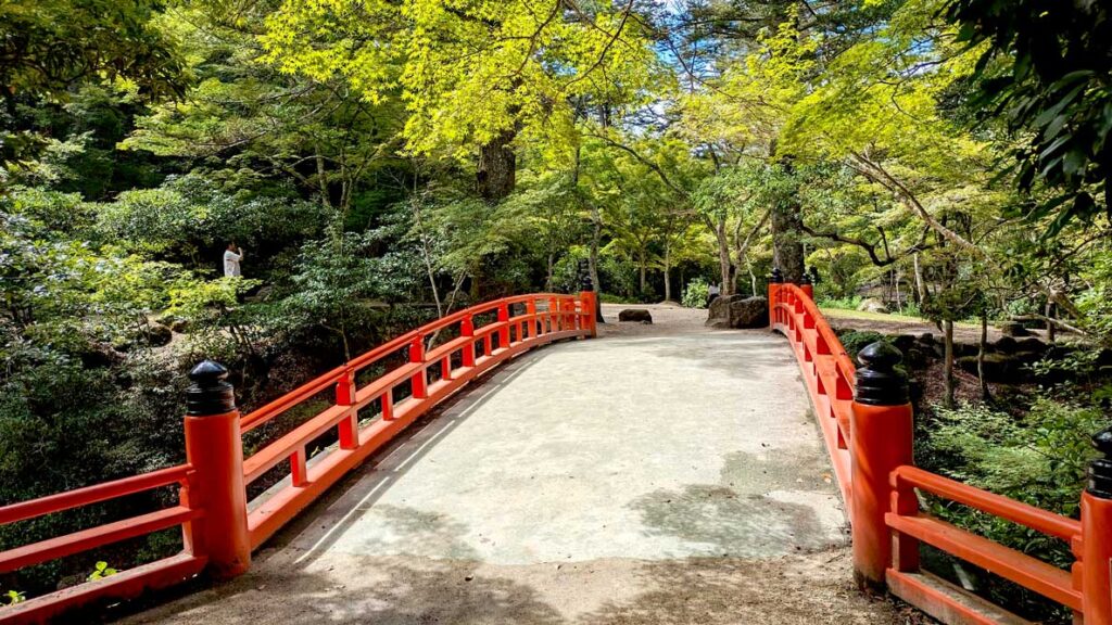 a slightly arched bridge leads your eye further into the image, revealing the forested park beyond. It's an iconic bridge with bright orange railings on either side