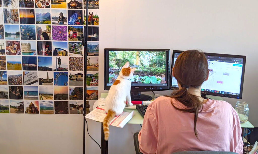 a woman sits at her desk with a dual screen monitor. On her desk, is a small white and orange cat, looking at the second screen. 