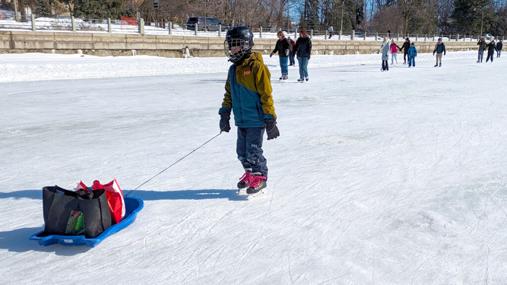 a child is skating on the rideau canal, wearing a full snow suit and a full faced caged helmet for safety. The child is about 10 years old. They are facing forward, stopped, looking at their toboggan that would be pulled behind them if they skated forward. On the toboggan are two reusable bags, most likely filled with their winter boots and gear