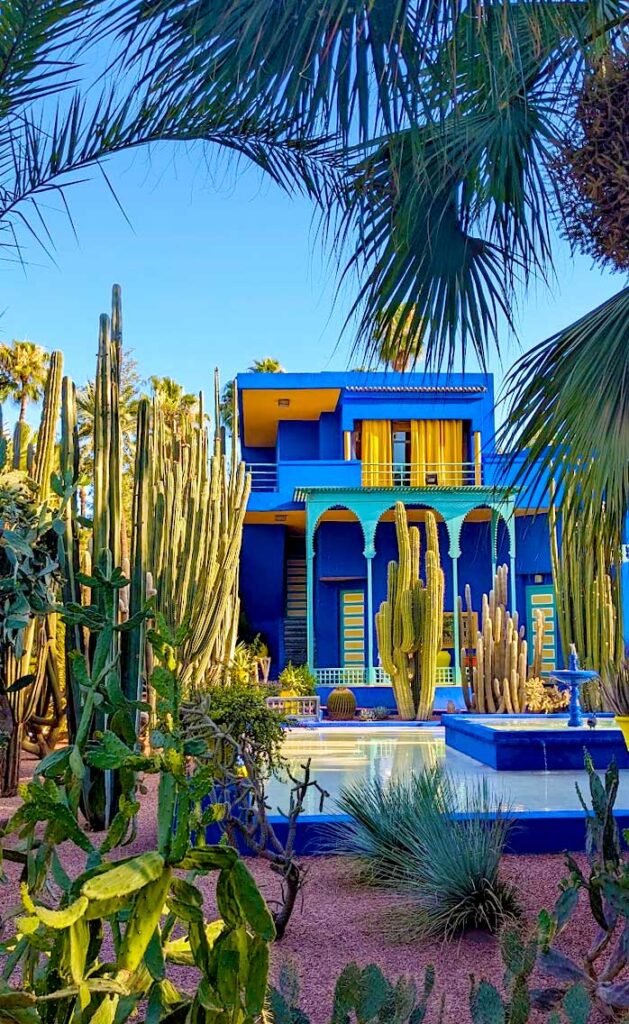 the iconic photo of Jardin Marjorelle in marrakech. The garden is in the foreground, with palm tree leaves hanging on the top of the image, on the left side are some of the tallest skinniest cactus and finally on the ground in the front are pebbles with more , smaller cactuses and desert plants. Behind the garden is a three tiered fountain, the two base levels are large squares, but in the middle sits a small blue painted bird fountain. Finally behind all the plants and the fountain is the blue and yellow painted house.