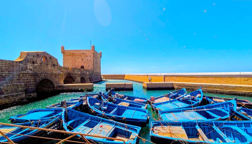 the gorgeous port of essaouria morocco. Seagulls are flying all around in the sky. Below them is an old brick wall that enclos