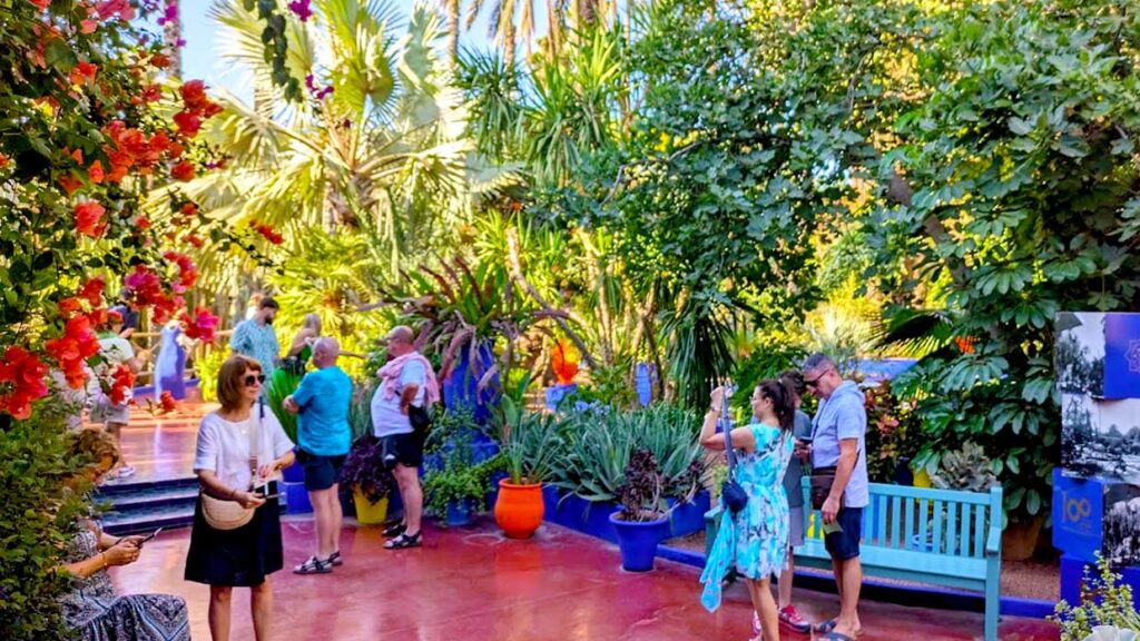 tourists are walking around, taking pictures at the jardin majorelle. There are tall plants all around, with blue benches and decor. The tourists are not dresses like locals, the women are all wearing short skirts, shorts, or dresses above the knee