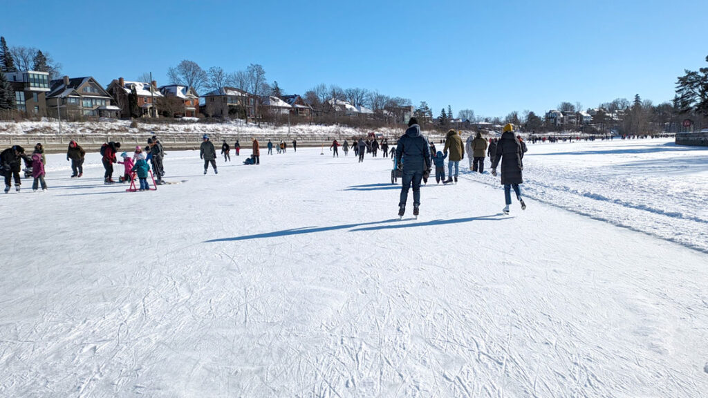 skaters skating on the rideau canal in ottawa. Part of the rideau canal is ice and skateable, the edges are still snow covered. 