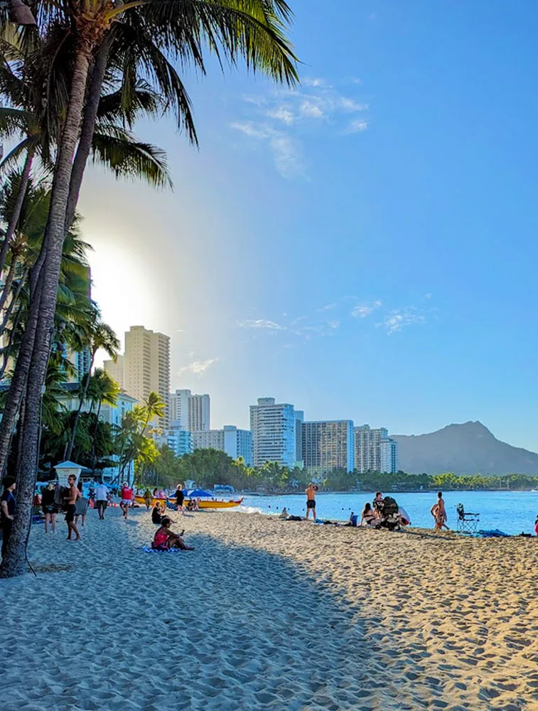 the iconic view of oahu waikiki beach. The beach is half in shadow, half in sunlight. A palm tree lines the left side of the photo, all the way from the sand to the sky. Below it are the high rise buildings that bend around the beach and lead you to diamond head crater in the distance before reach the ocean.