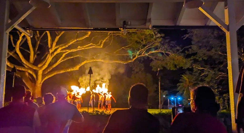 a fire show at the toa luau in the waimea valley on the north shore. This is a night time activity. Men are standing on the field, it's pitch black outside, they're each holding a torch. You can see the silhouettes of the audience standing and watching under a canopy. 