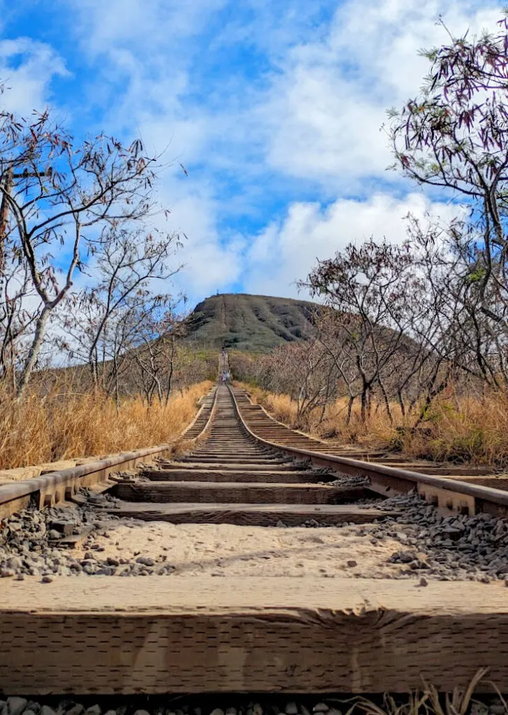 train tracks are in the middle leading your eye up a mountain, of all things. This is the koko crater. There are no trees, it looks like desolate land that's been sun burned. There's yellow grass lining the tracks on the way up. The trees that are in the side, have no leaves but are bare branches. There are a few speckles on the tram in the distance, people attempting the hike further out. It's a cloudy day, but you can still see more than enough blue sky.