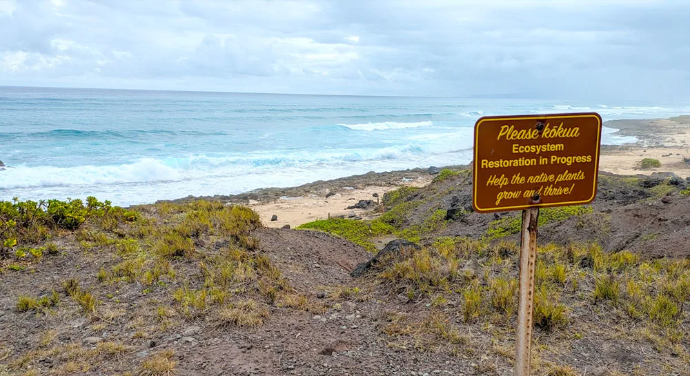 a brown sign with yellow letter that says: Please Kōkua. Ecosystem restoration in progress. Help the native plants grow and thrive. This sign stands on a very rusted pole on some pretty dark brown rugged terrain below. There is a beach further, with rough waves hitting the sand.