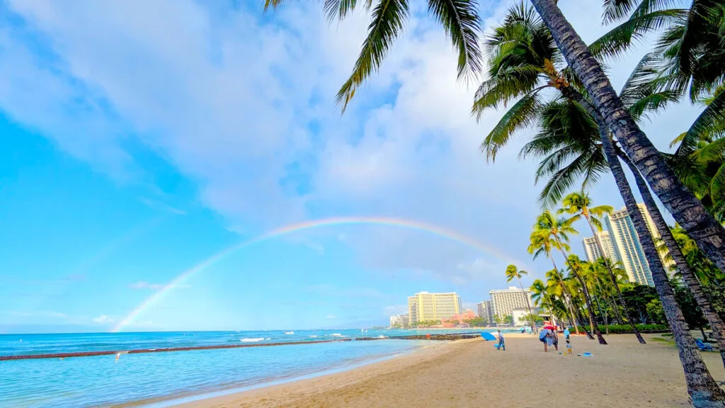 a wide rainbow takes over the sky from behind the buildings all the way to the horizon where the ocean meets the sky. You can also almost make out a second, larger, rainbow above the other one. It's even more faint though. The beach is empty, as it's still early in the morning. The water is calm. Employees are started to set up beach chairs. Palm trees are all along the beach opposite the water before you start to see the buildings and hotels of Waikiki beach in the distance.