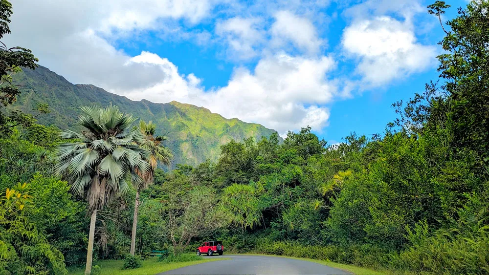 an encapsulating scene, a road leads your eye to a red jeep driving ahead. You realize the sheer tiny size of it when you realize the talls trees, and even taller mountains that take over the rest of the photo. It's almost taken over by greenery  but the vibrant blue and white sky take over the top third of the photo.