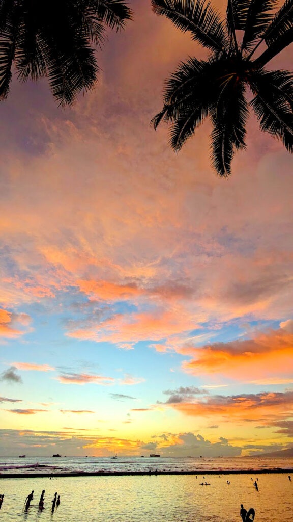 a shock sunset on the beach of waikiki. Black palm tree shadows creep in to the top of the photo. The sky is filled with a rich purple and pink clouds on top before clearing to see the bright blue sky . The sky seamlessly meets the ocean mirror the image above. People are in shadow enjoy the water and the sunset. 