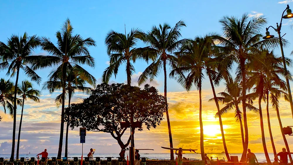 a striking sunset picture of waikiki beach. Facing the ocean, the sun is setting lighting up the sky in a golden yellow and bright blue colours. The palm trees that line the sidewalk are just silhouettes. So are the people walking by, but you can still make out people are carrying their surfboards over their heads.