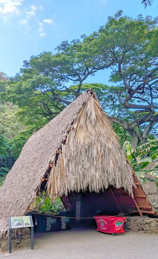 a large straw covered hit in the middle of the photo surrounding by taller green trees and a blue sky. There's a small informational plaque in front of it describing what it is.